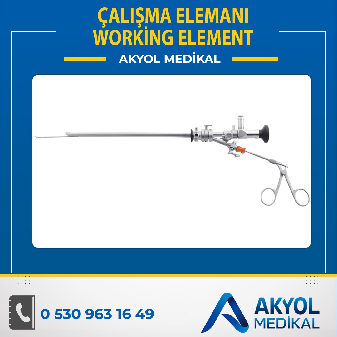 Çalışma Elemanı ( Working Element)
